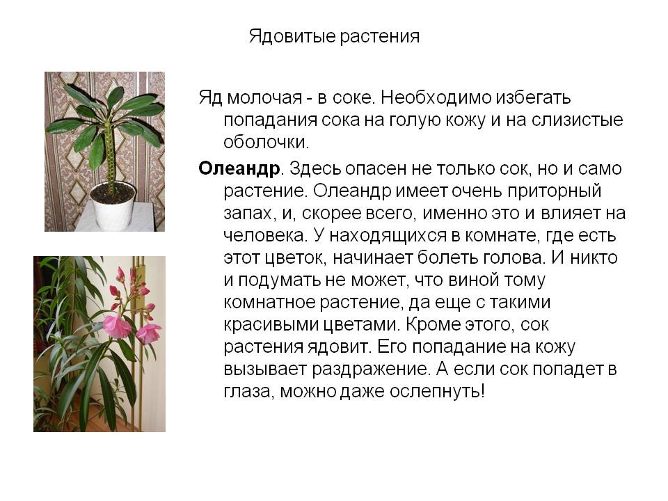 Яд молочая