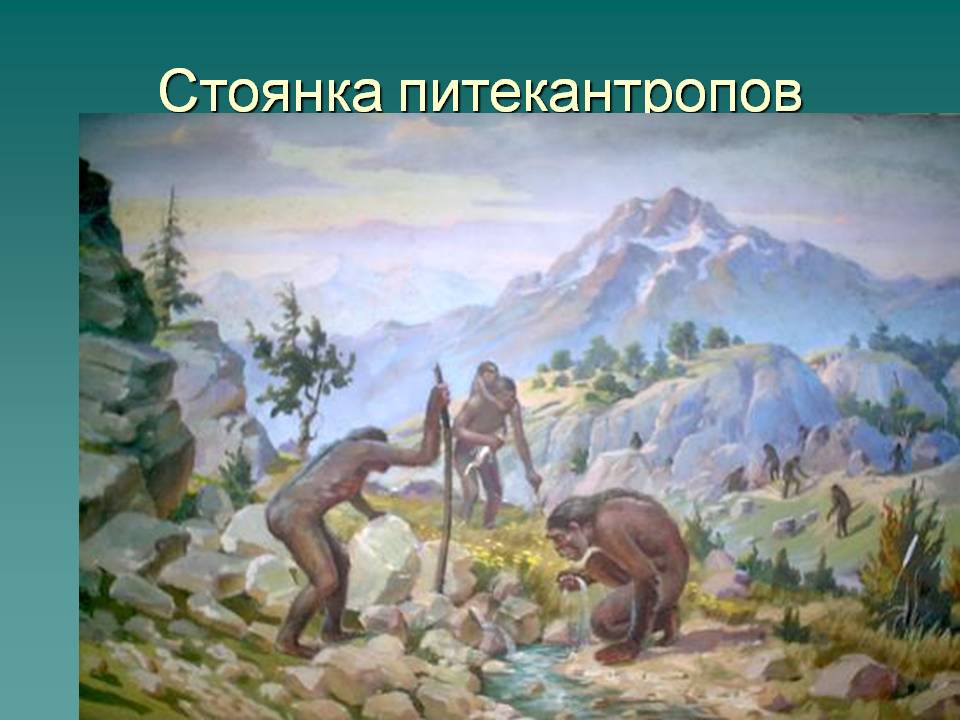 Стоянка питекантропов
