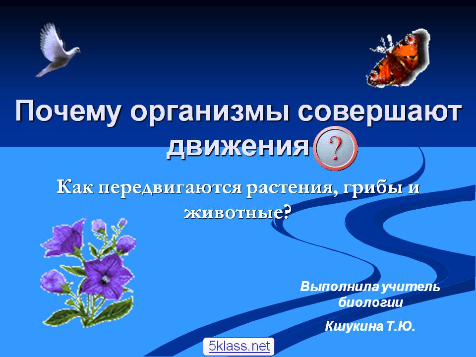 Почему организмы совершают движения