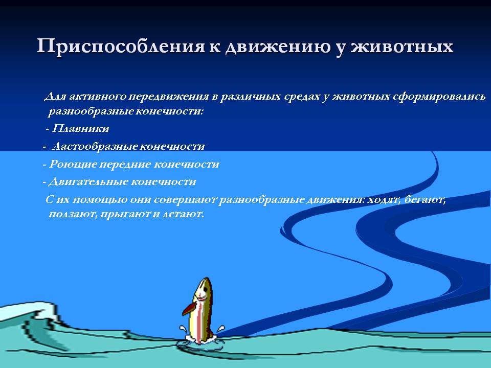 Приспособления к движению у животных