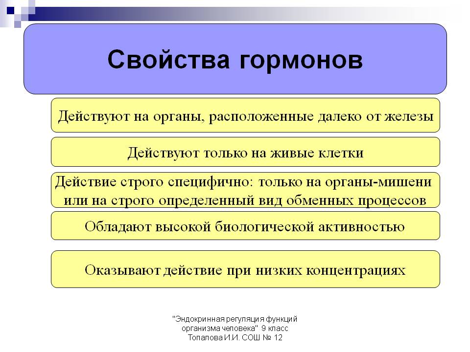 Свойства гормонов