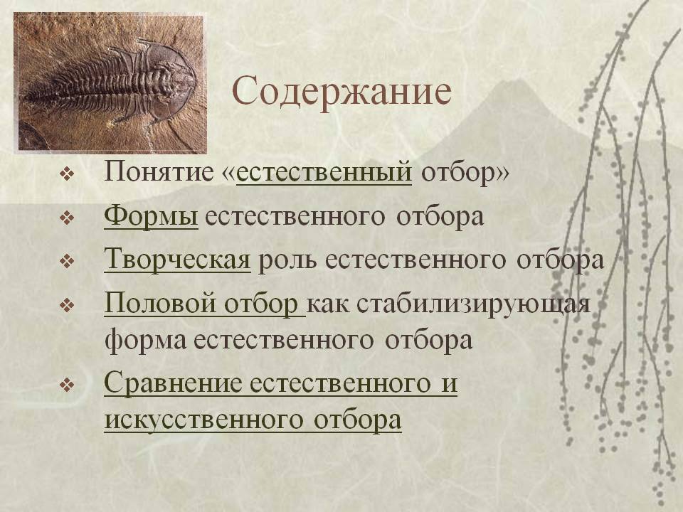 Содержание