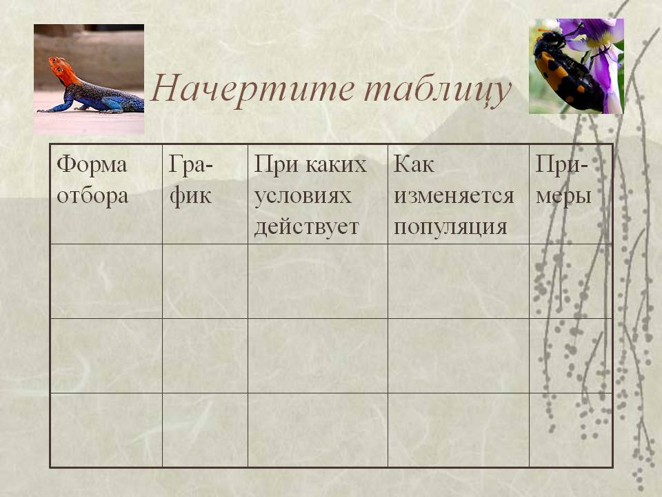 Начертите таблицу