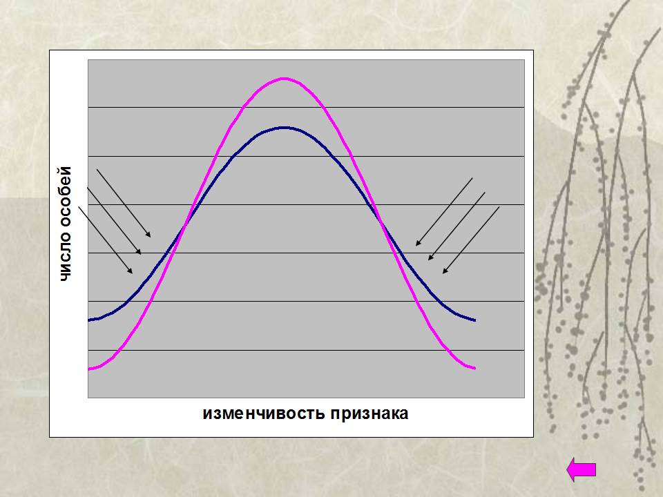 Естественный отбор и эволюция