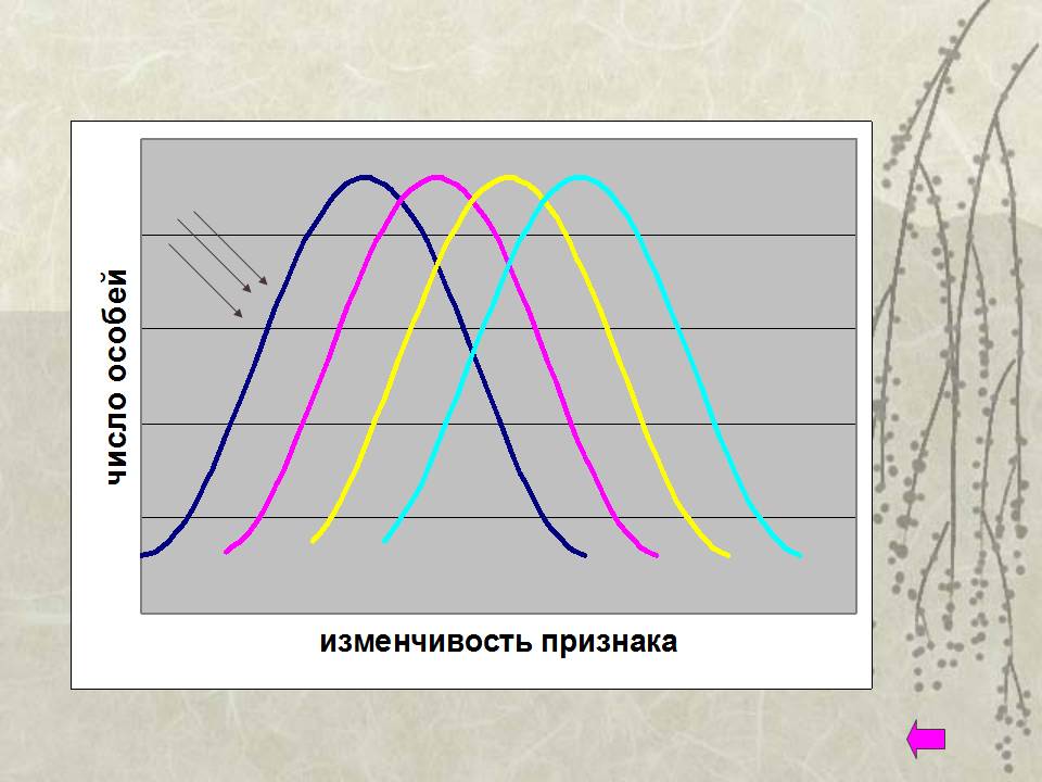 Естественный отбор и эволюция