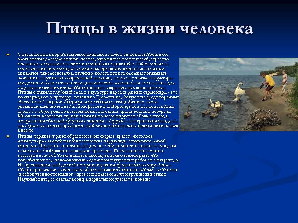 Птицы в жизни человека