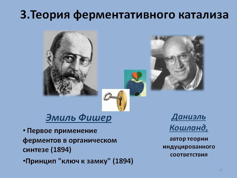 Теория ферментативного катализа