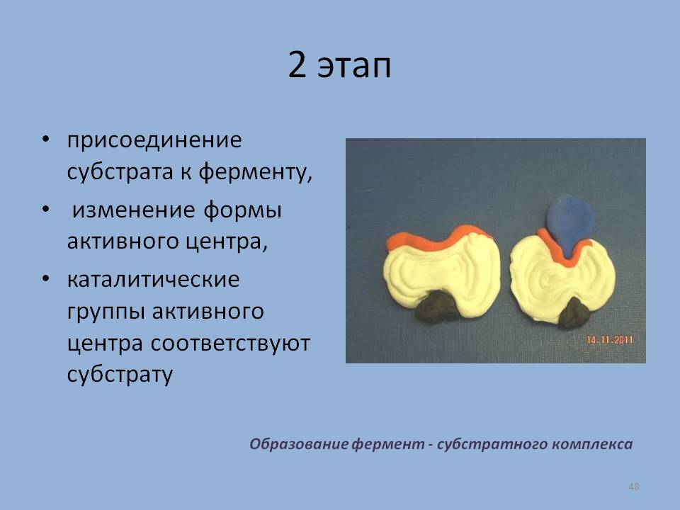 Изменение формы активного центра