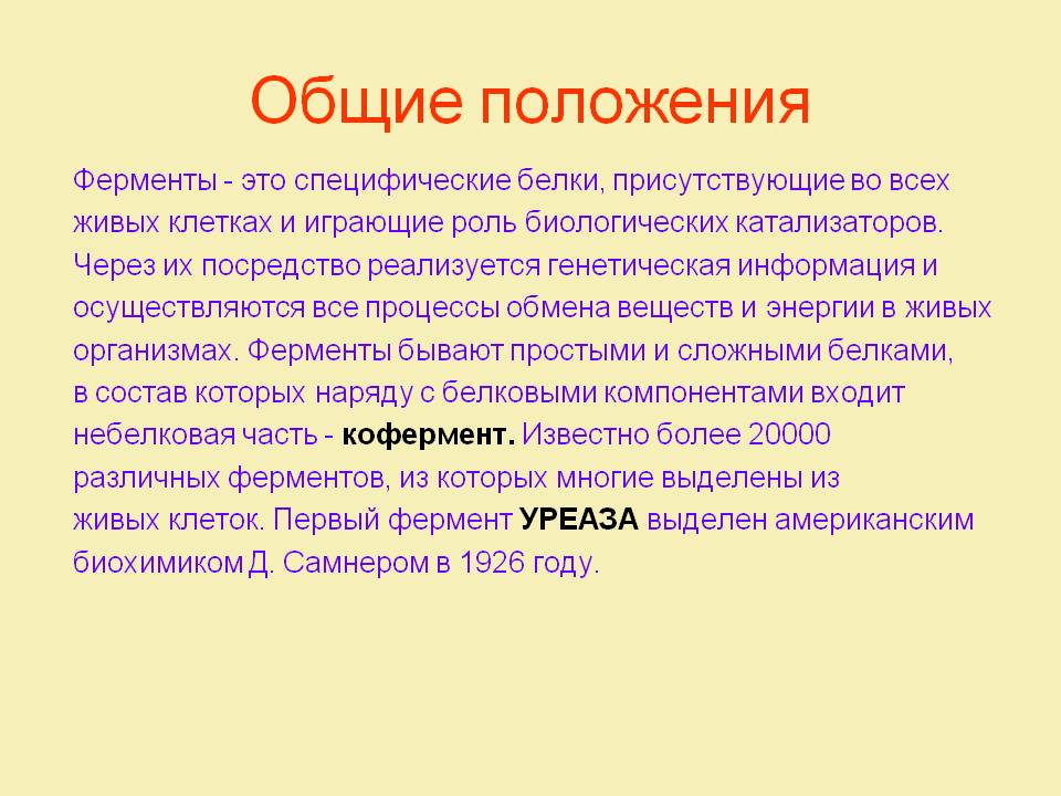 Общие положения