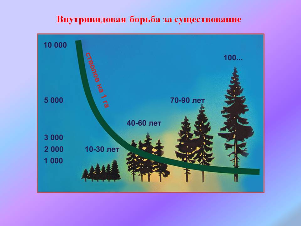 Внутривидовая борьба за существование