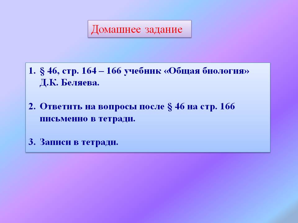 Записи в тетради