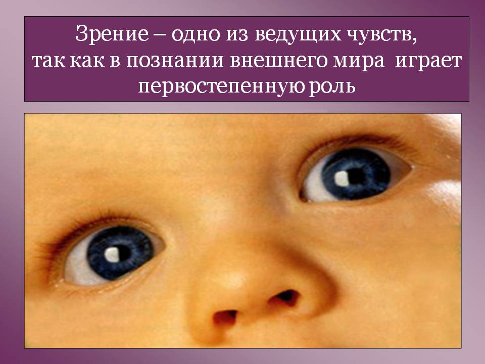 Зрение