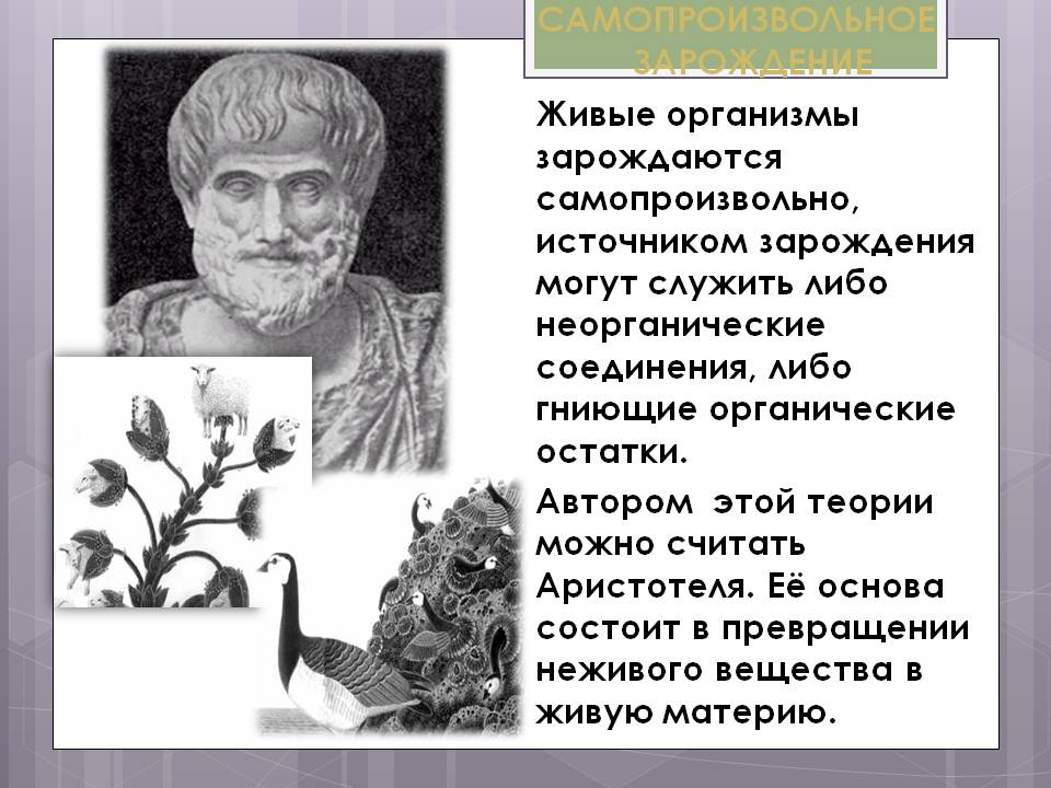 Самопроизвольное зарождение