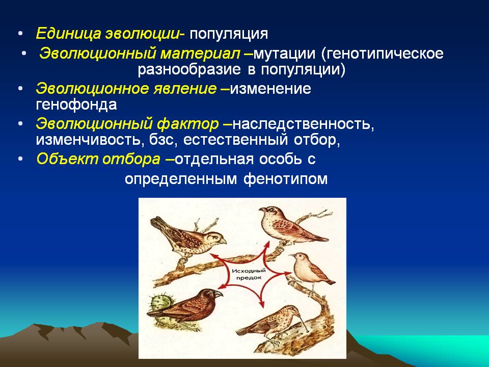 Единица эволюции- популяция Эволюционный материал –мутации