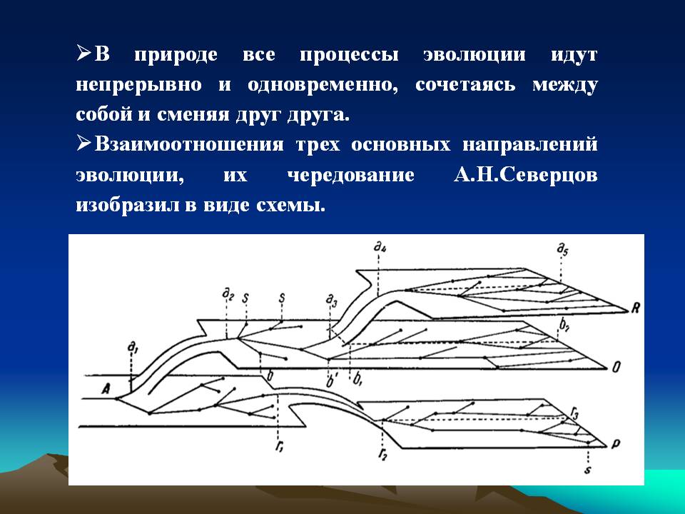 В природе все процессы эволюции идут непрерывно и одновременно,