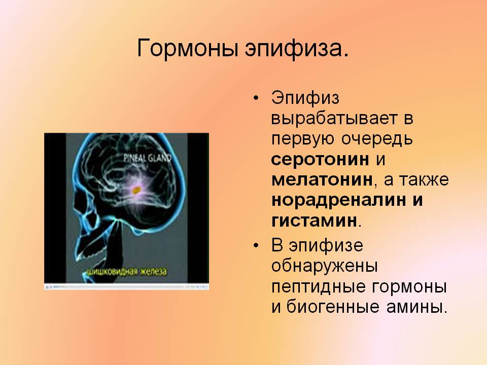 Гормоны эпифиза