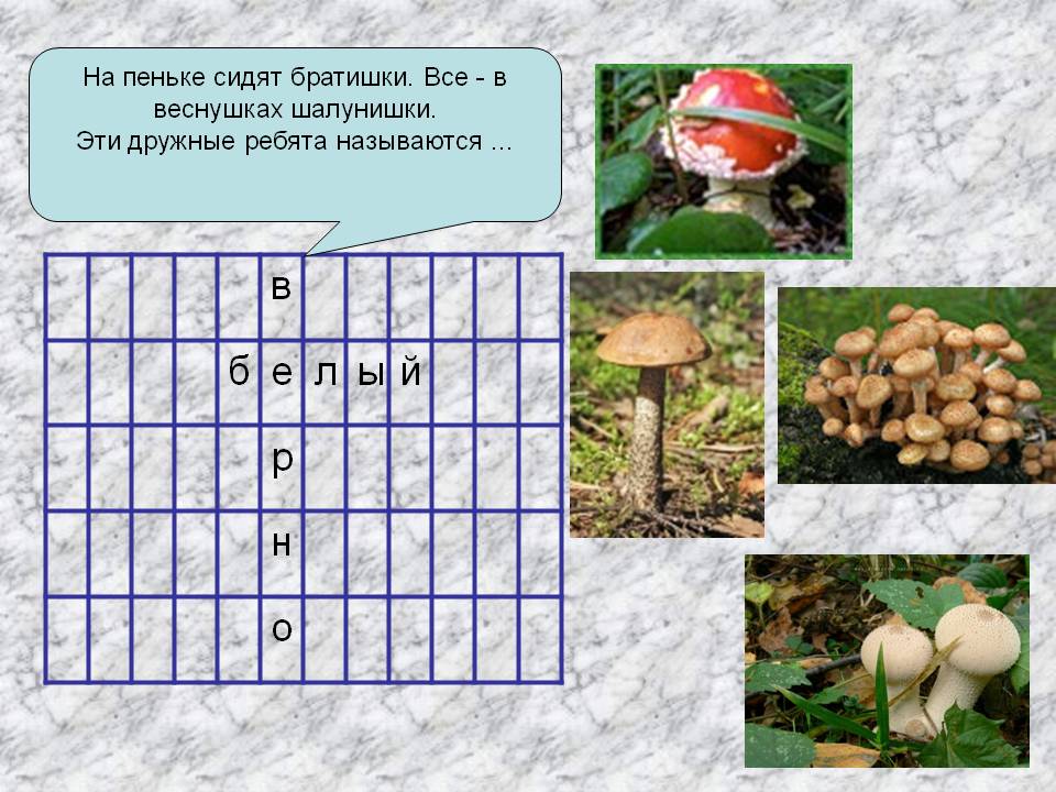 На пеньке сидят братишки
