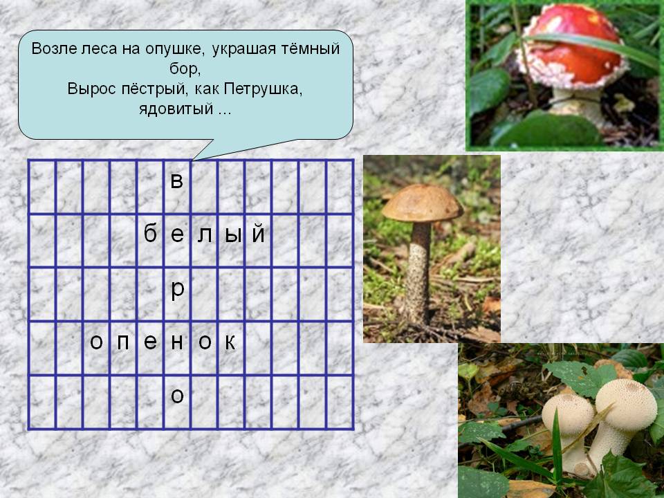 Возле леса на опушке, украшая тёмный бор, Вырос пёстрый, как Петрушка,