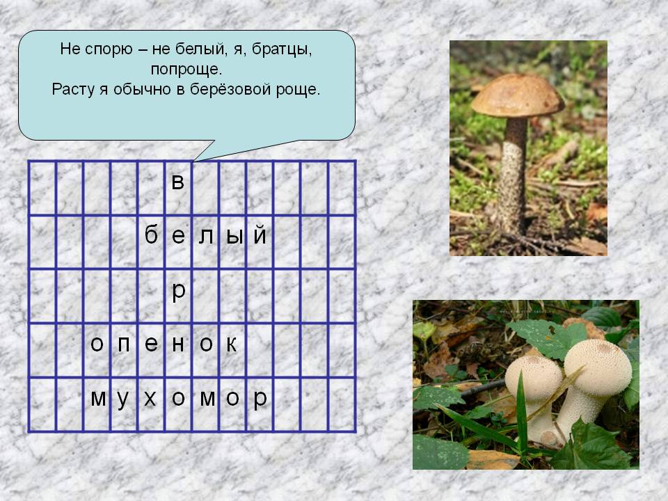 Не спорю – не белый, я, братцы, попроще