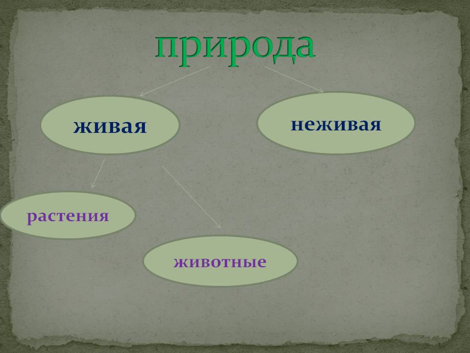 Природа