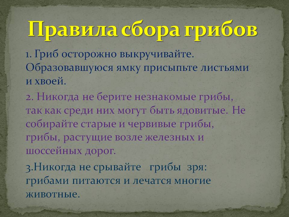 Правила сбора грибов