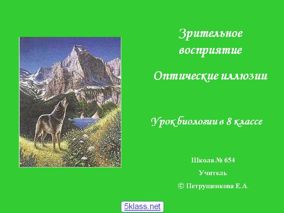 Зрительное восприятие Oптические иллюзии