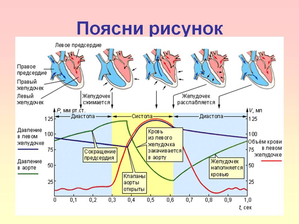 Поясни рисунок