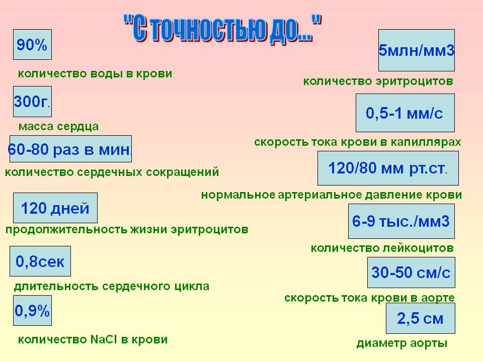 Скорость тока крови
