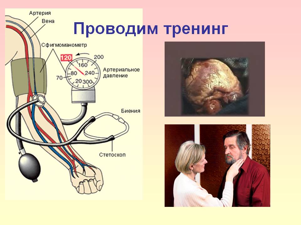 Проводим тренинг