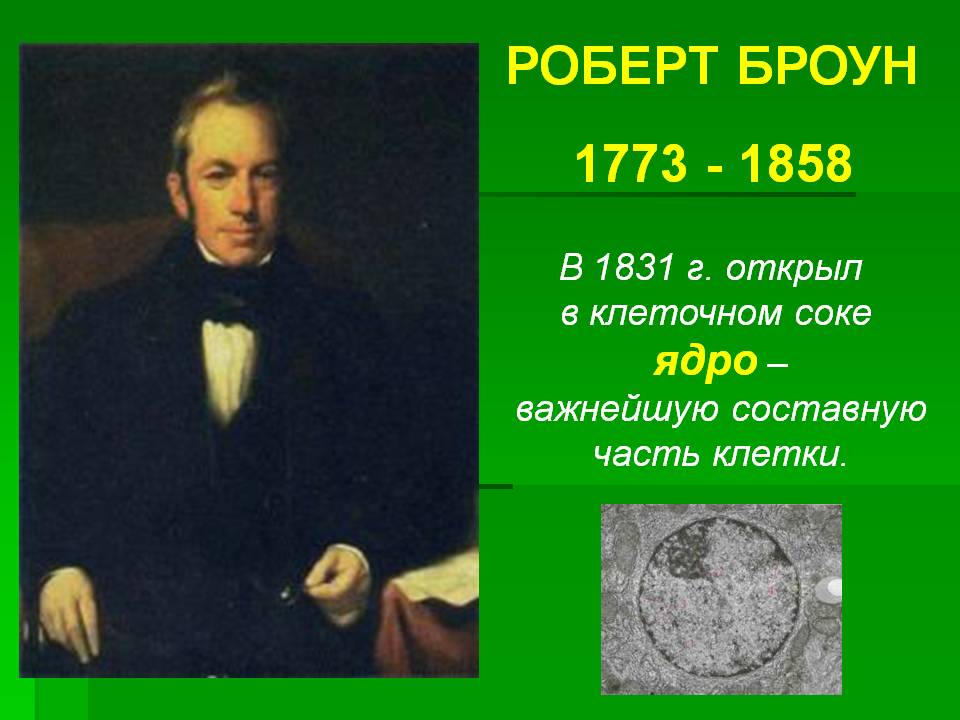 Роберт броун
