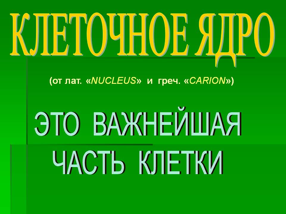 Клеточное ядро