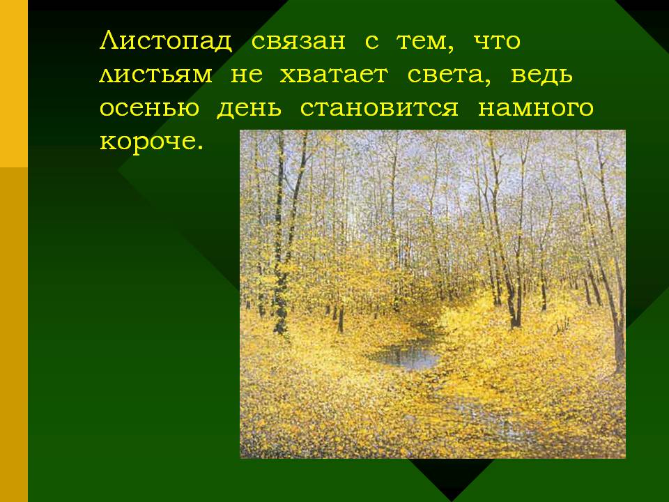 Листопад связан с тем, что листьям не хватает света, ведь осенью день