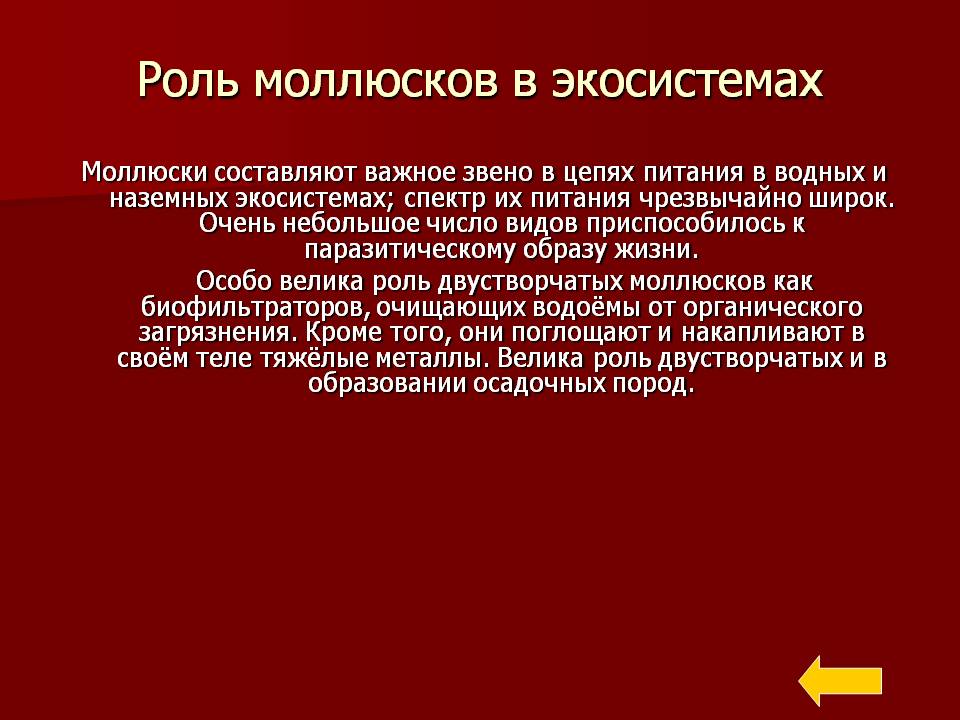 Роль моллюсков в экосистемах