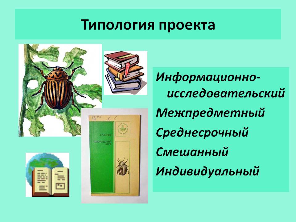 Типология проекта