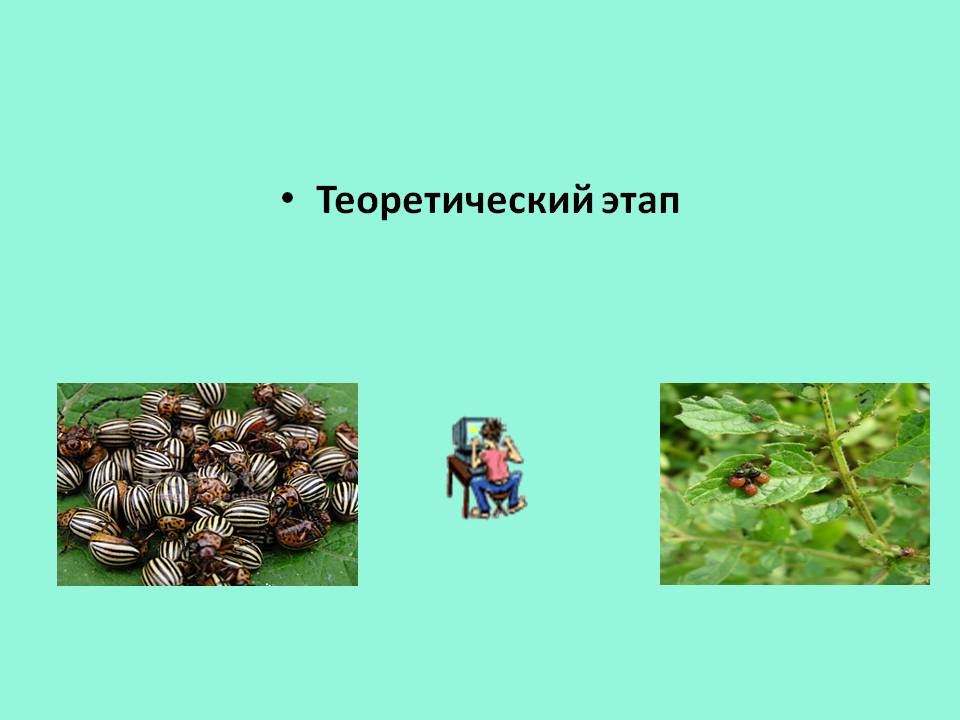 Теоретический этап