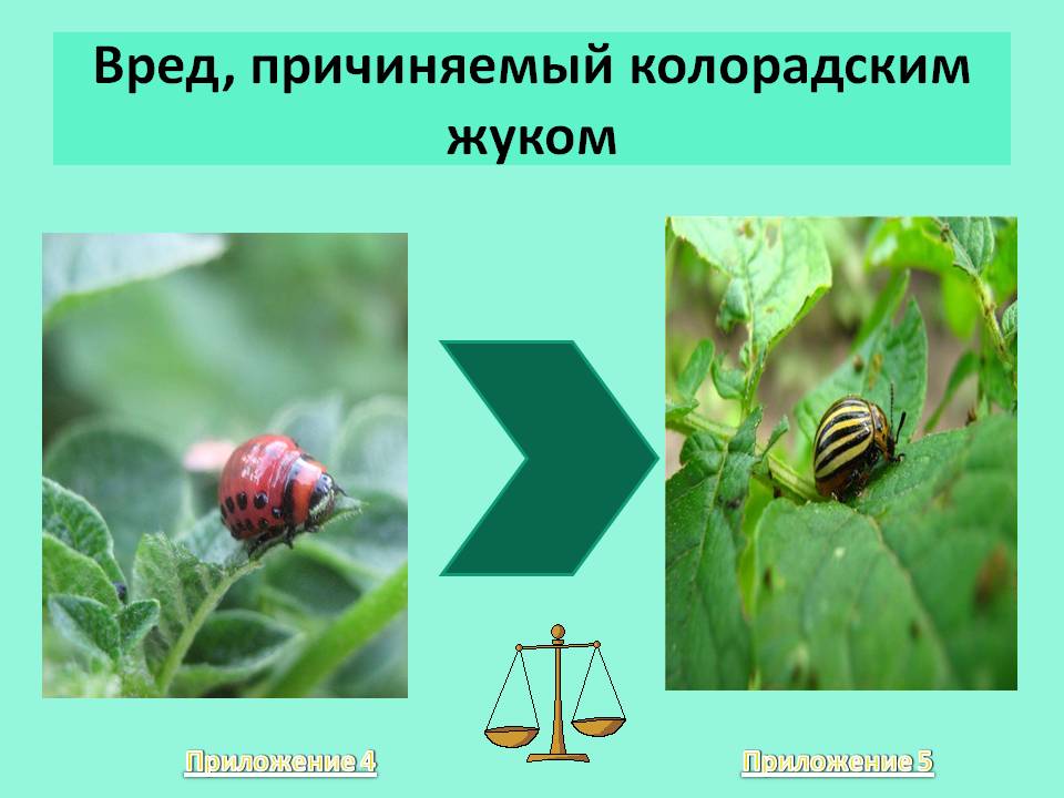 Приложение