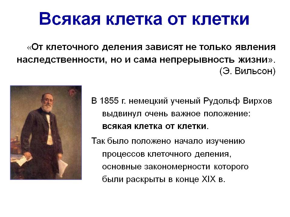 Клетка