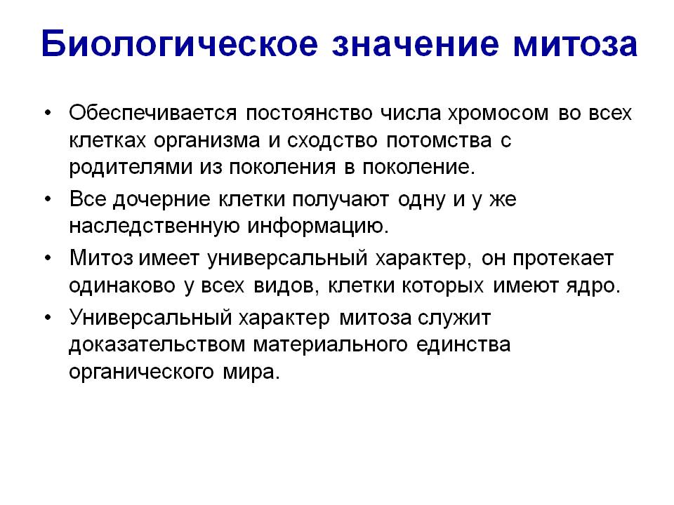 Биологическое значение митоза