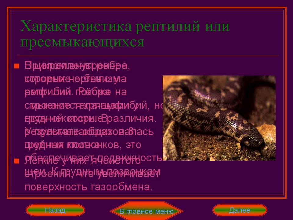 Подвижность шеи