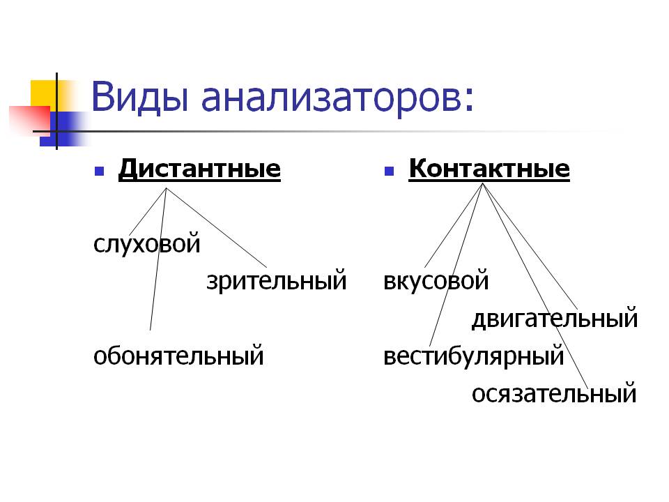 Виды анализаторов