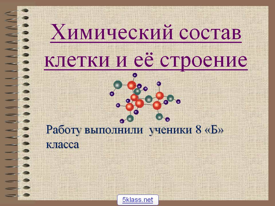 Химический состав клетки и её строение