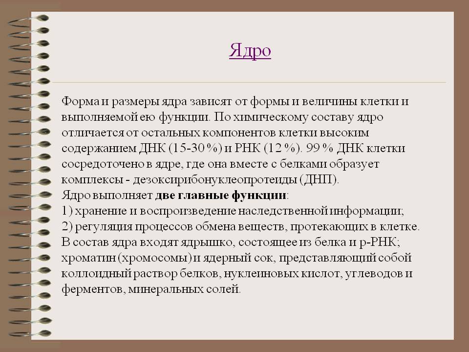 Ядро