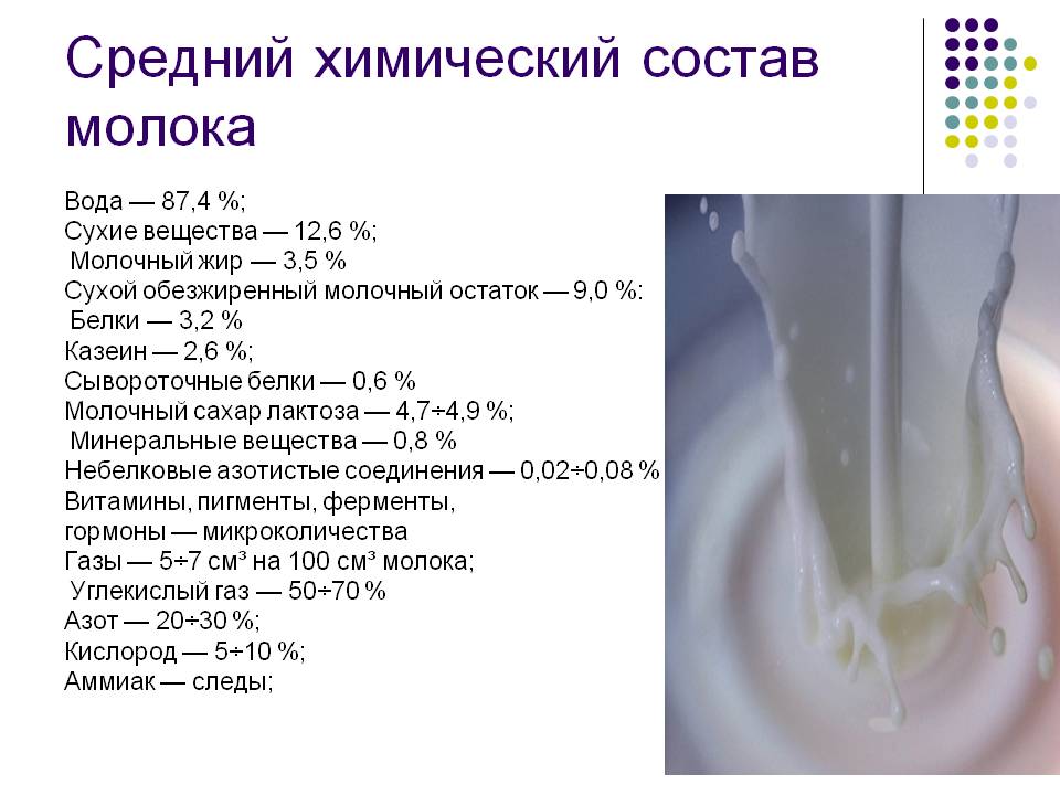 Средний химический состав молока
