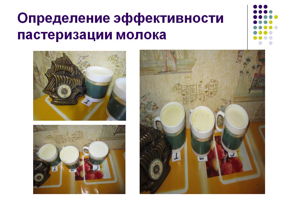 Определение эффективности пастеризации молока