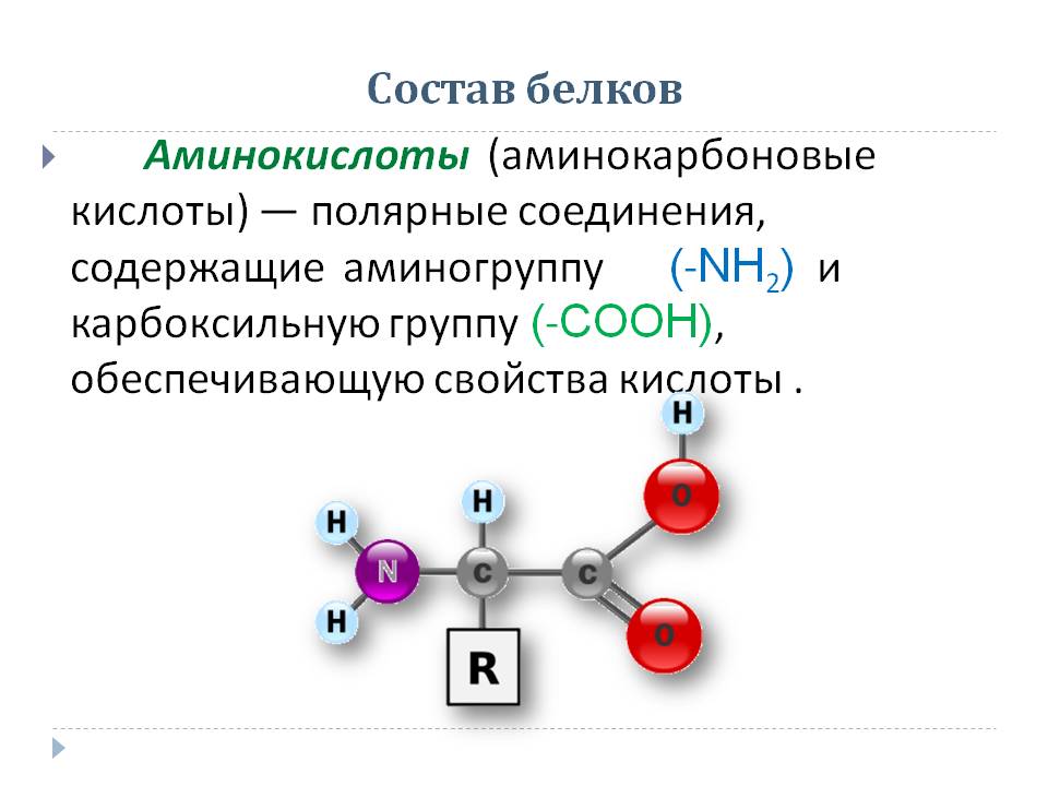 Состав белков