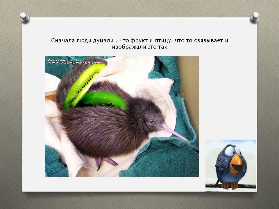 Фрукт