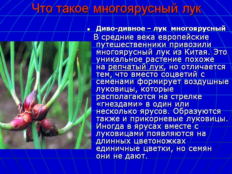 Что такое многоярусный лук
