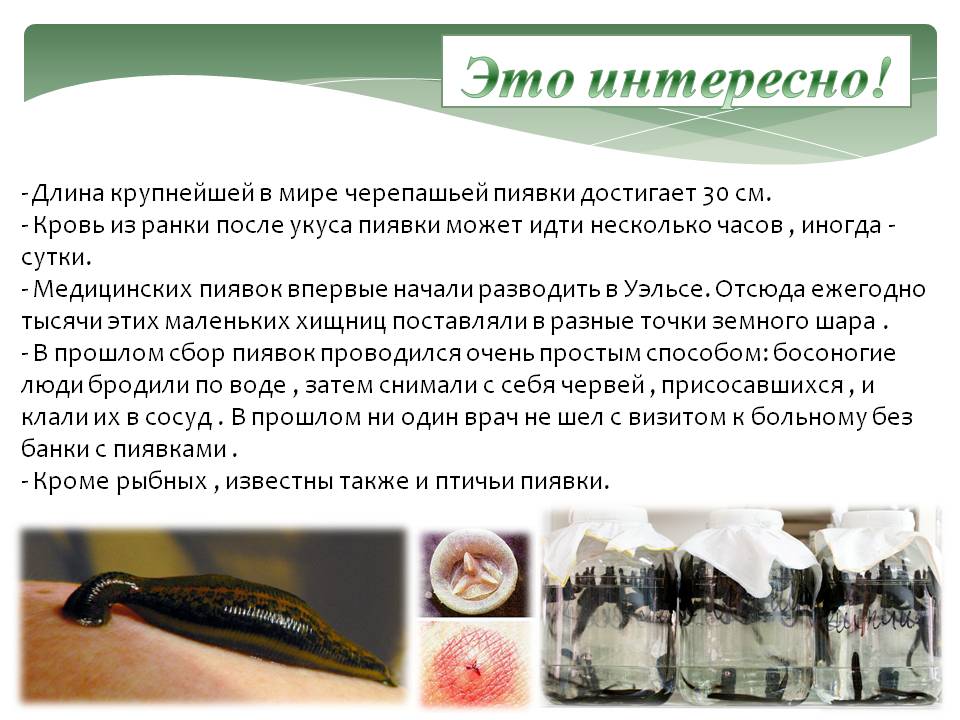 Это интересно