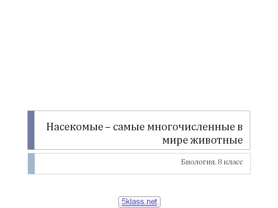 Насекомые – самые многочисленные в мире животные