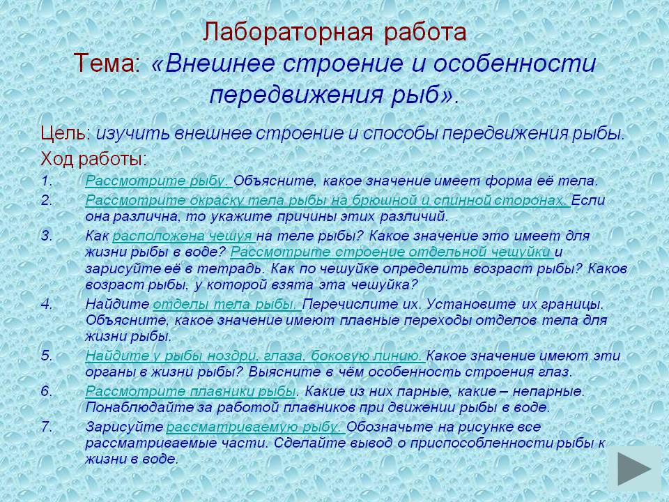 Лабораторная работа Тема: «Внешнее строение и особенности передвижения